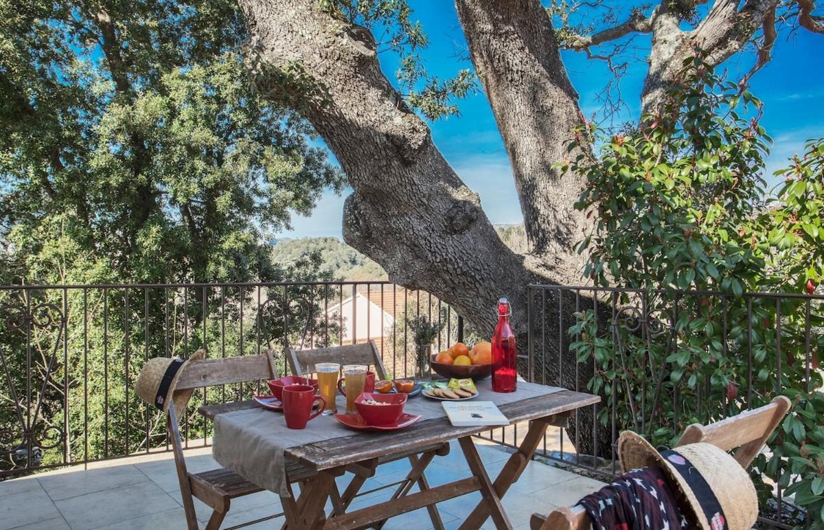 Domaine Ghjulia Apartment Patrimonio Luaran gambar