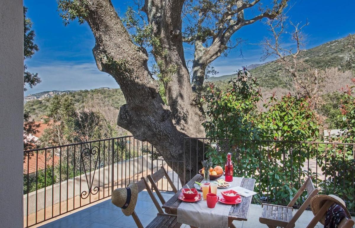 Domaine Ghjulia Apartment Patrimonio Luaran gambar